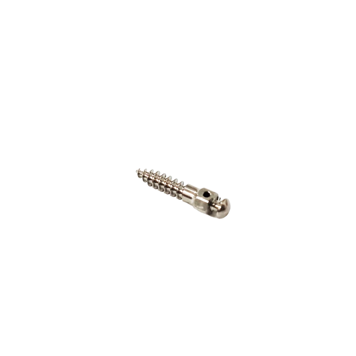 Dental Implants Orthodontic Anchorage Screws